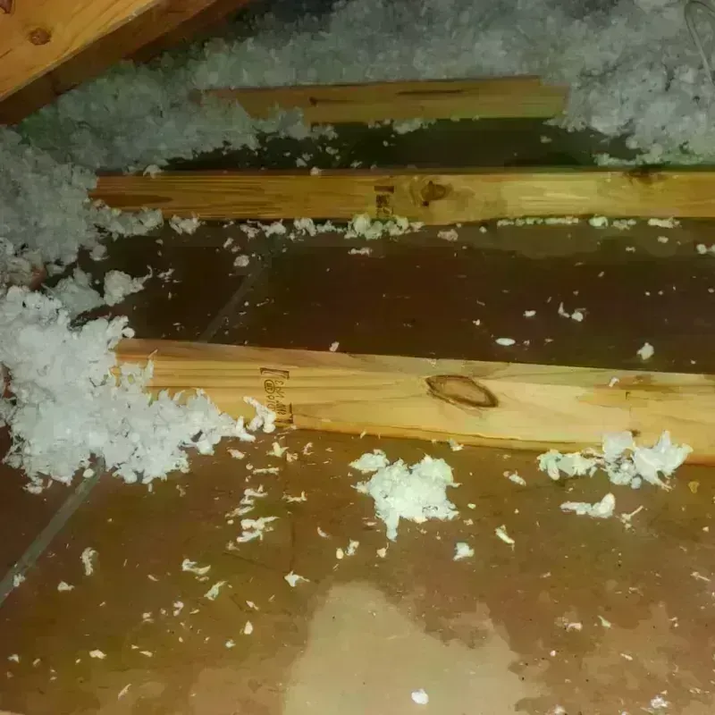 Attic Water Damage in Union, SC